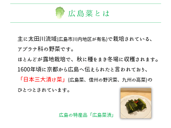 広島菜青汁の紹介ページ