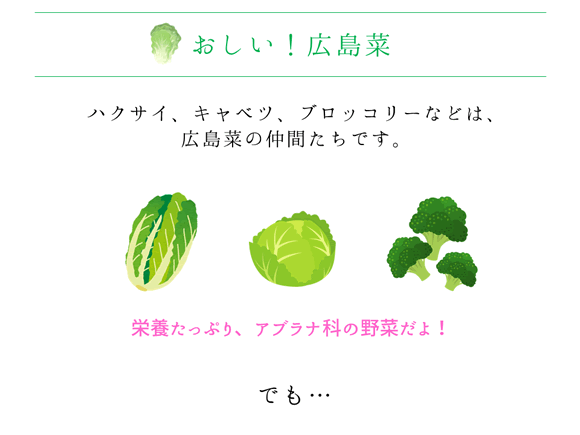 広島菜青汁の紹介ページ